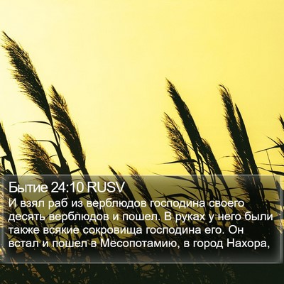 Бытие 24:10 RUSV Bible Verse Image