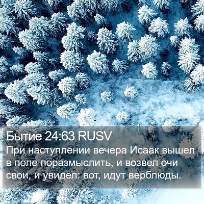 Бытие 24:63 RUSV Bible Verse Image