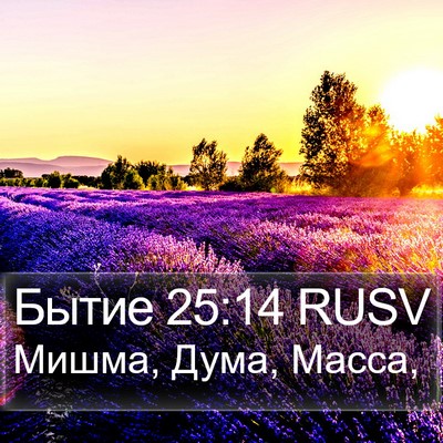 Бытие 25:14 RUSV Bible Verse Image