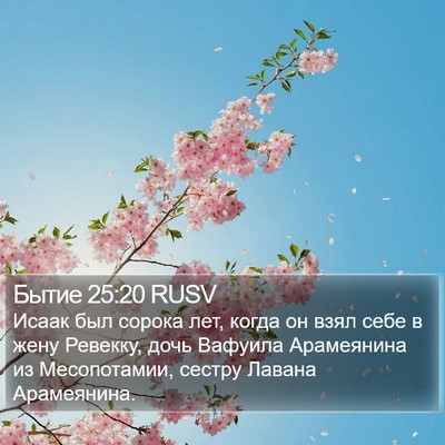 Бытие 25:20 RUSV Bible Verse Image