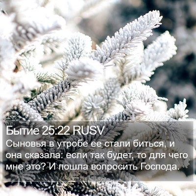 Бытие 25:22 RUSV Bible Verse Image