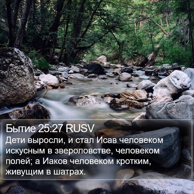 Бытие 25:27 RUSV Bible Verse Image