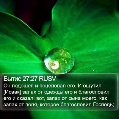 Бытие 27:27 RUSV Bible Verse Image