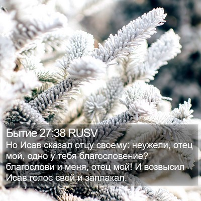 Бытие 27:38 RUSV Bible Verse Image