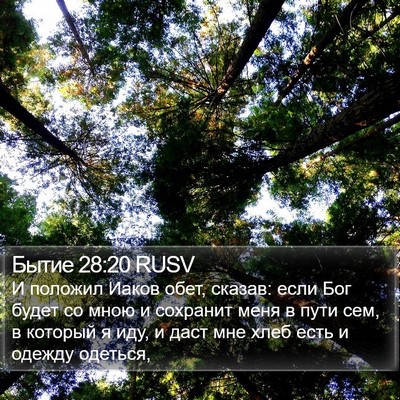 Бытие 28:20 RUSV Bible Verse Image