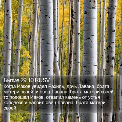 Бытие 29:10 RUSV Bible Verse Image