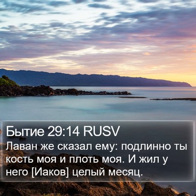 Бытие 29:14 RUSV Bible Verse Image