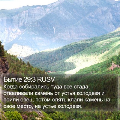 Бытие 29:3 RUSV Bible Verse Image