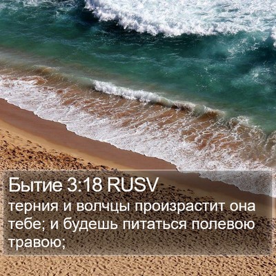 Бытие 3:18 RUSV Bible Verse Image