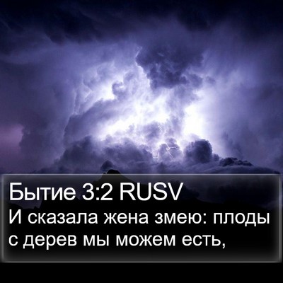 Бытие 3:2 RUSV Bible Verse Image