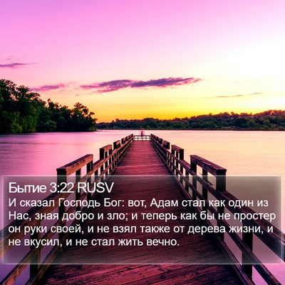 Бытие 3:22 RUSV Bible Verse Image