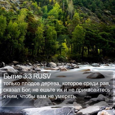 Бытие 3:3 RUSV Bible Verse Image