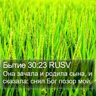 Бытие 30:23 RUSV Bible Verse Image