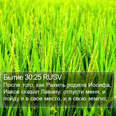 Бытие 30:25 RUSV Bible Verse Image