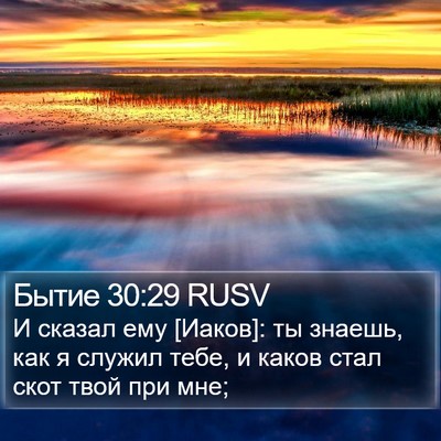 Бытие 30:29 RUSV Bible Verse Image