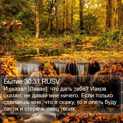 Бытие 30:31 RUSV Bible Verse Image