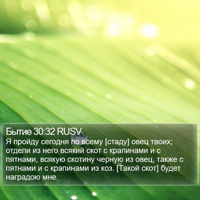 Бытие 30:32 RUSV Bible Verse Image