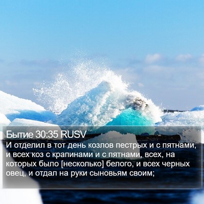 Бытие 30:35 RUSV Bible Verse Image