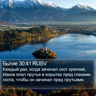 Бытие 30:41 RUSV Bible Verse Image