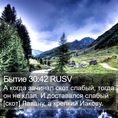Бытие 30:42 RUSV Bible Verse Image
