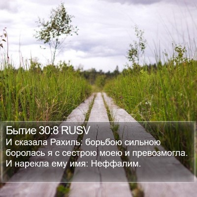 Бытие 30:8 RUSV Bible Verse Image