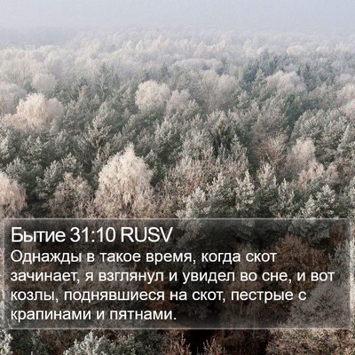 Бытие 31:10 RUSV Bible Verse Image