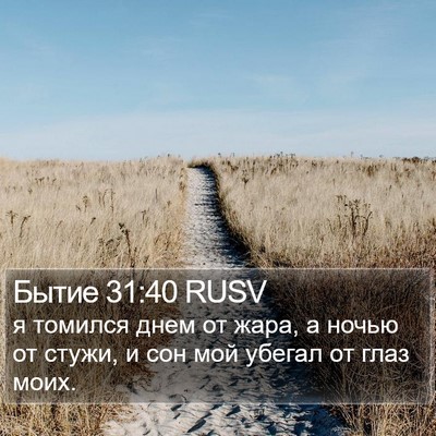 Бытие 31:40 RUSV Bible Verse Image
