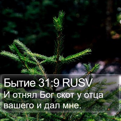 Бытие 31:9 RUSV Bible Verse Image