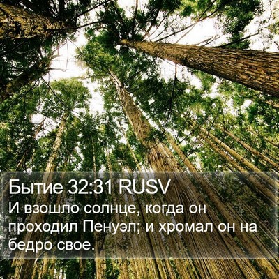 Бытие 32:31 RUSV Bible Verse Image