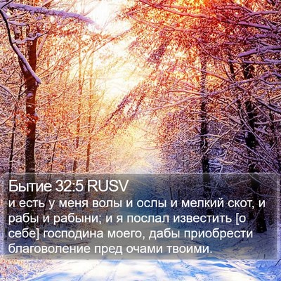 Бытие 32:5 RUSV Bible Verse Image