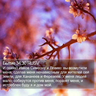Бытие 34:30 RUSV Bible Verse Image