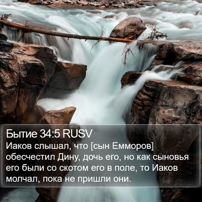 Бытие 34:5 RUSV Bible Verse Image