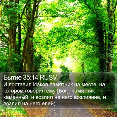 Бытие 35:14 RUSV Bible Verse Image