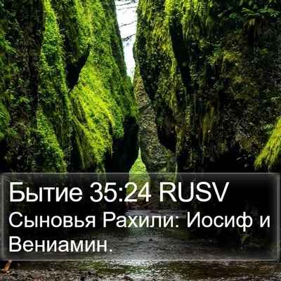 Бытие 35:24 RUSV Bible Verse Image