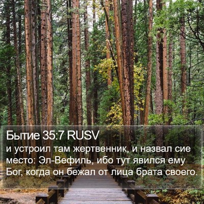 Бытие 35:7 RUSV Bible Verse Image