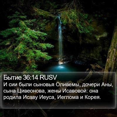 Бытие 36:14 RUSV Bible Verse Image