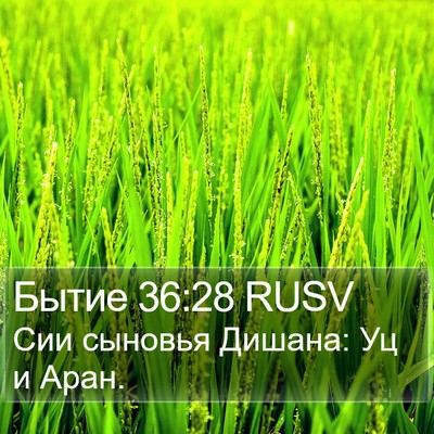 Бытие 36:28 RUSV Bible Verse Image