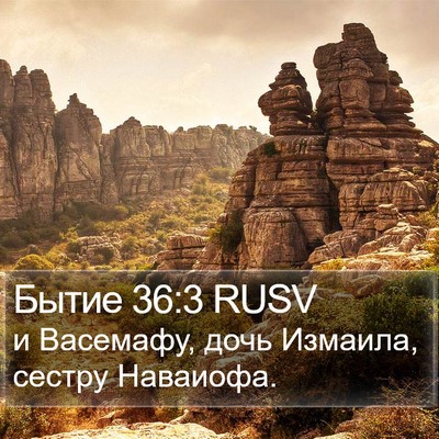 Бытие 36:3 RUSV Bible Verse Image