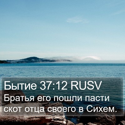 Бытие 37:12 RUSV Bible Verse Image