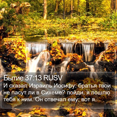 Бытие 37:13 RUSV Bible Verse Image