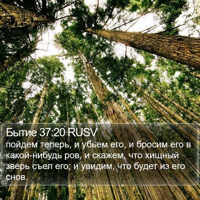 Бытие 37:20 RUSV Bible Verse Image