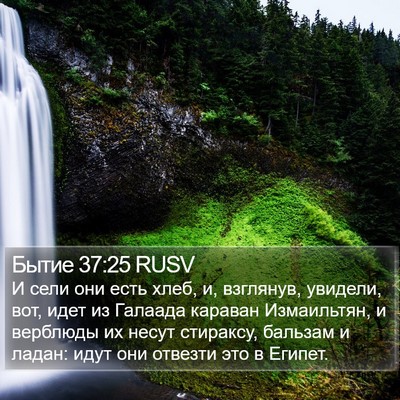 Бытие 37:25 RUSV Bible Verse Image
