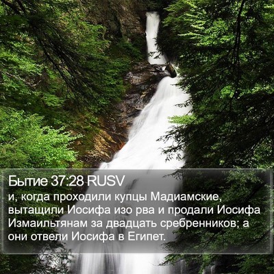 Бытие 37:28 RUSV Bible Verse Image