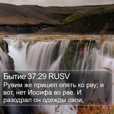 Бытие 37:29 RUSV Bible Verse Image