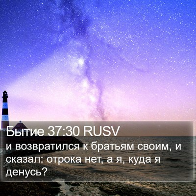 Бытие 37:30 RUSV Bible Verse Image