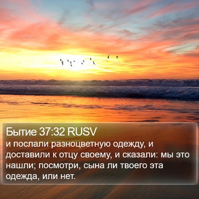 Бытие 37:32 RUSV Bible Verse Image