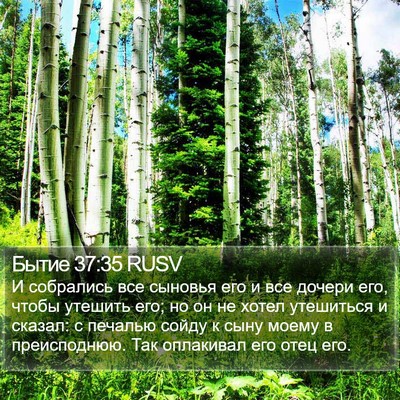 Бытие 37:35 RUSV Bible Verse Image