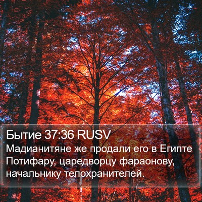 Бытие 37:36 RUSV Bible Verse Image