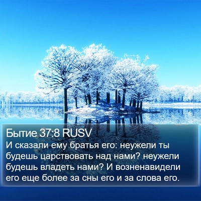 Бытие 37:8 RUSV Bible Verse Image