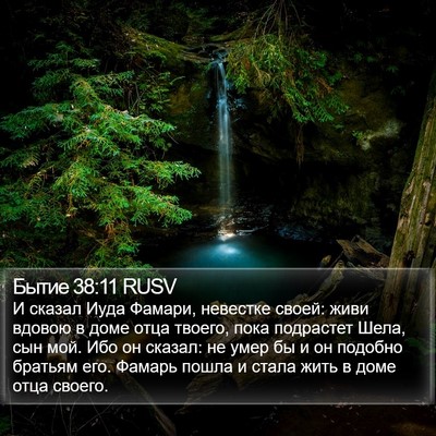 Бытие 38:11 RUSV Bible Verse Image